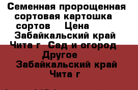 Семенная,пророщенная,сортовая картошка(5 сортов) › Цена ­ 500 - Забайкальский край, Чита г. Сад и огород » Другое   . Забайкальский край,Чита г.